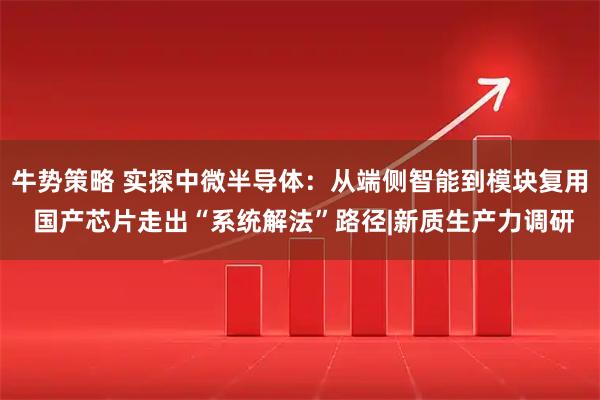 牛势策略 实探中微半导体：从端侧智能到模块复用 国产芯片走出“系统解法”路径|新质生产力调研
