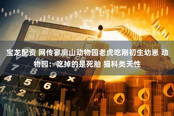 宝龙配资 网传寥廓山动物园老虎吃刚初生幼崽 动物园：吃掉的是死胎 猫科类天性